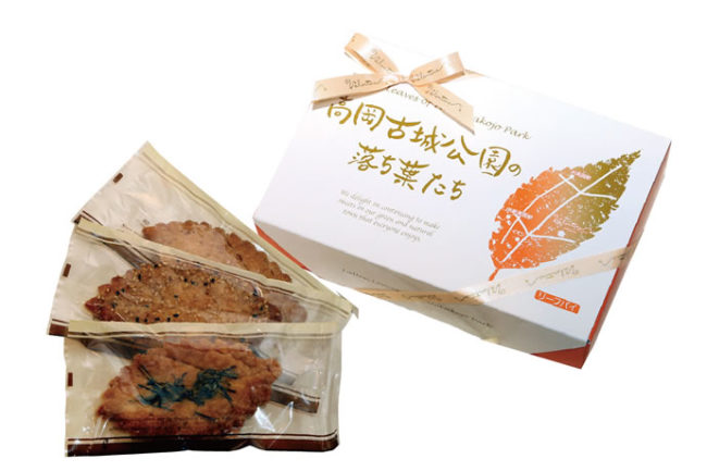 高岡古城公園の落ち葉たち